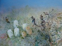 007  Banksia in Sunlight - Oil on Gesso